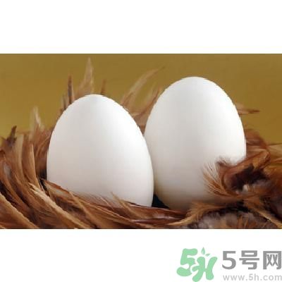 鵝蛋可以清火嗎？鵝蛋可以降火嗎？