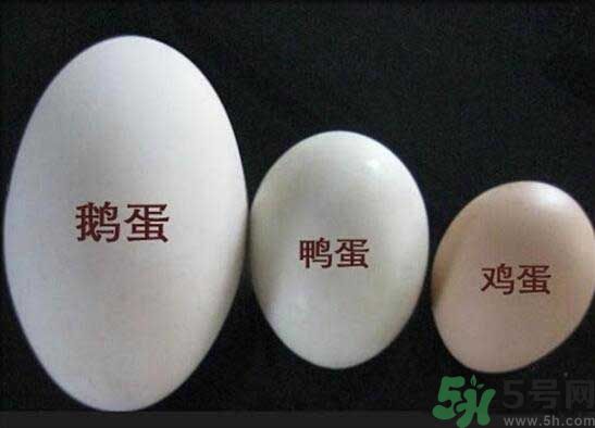 鵝蛋和鴨蛋哪個(gè)好？鵝蛋和鴨蛋哪個(gè)清火效果好？