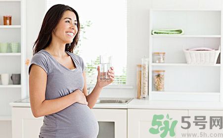 孕婦可以喝菊花晶嗎？孕婦能喝菊花