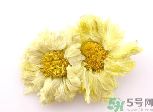 菊花晶能喝綠豆湯一起喝嗎？菊花晶和綠豆湯可以一起喝嗎？