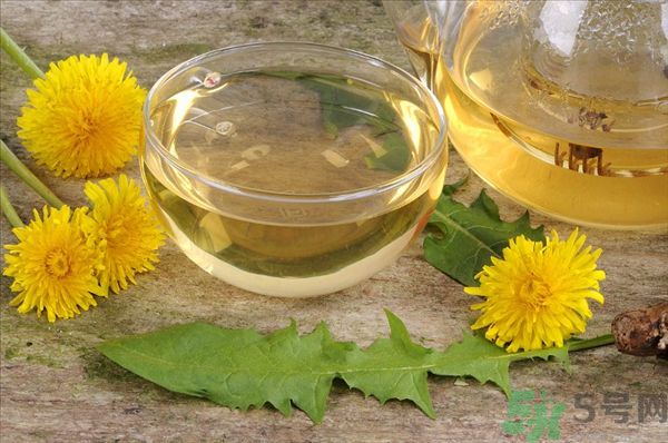 蒲公英泡茶有什么功效？蒲公英泡茶的功效是什么？