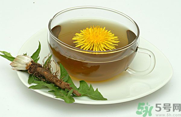 蒲公英根泡茶好還是蒲公英葉泡茶好？蒲公英根和葉哪個效果好？