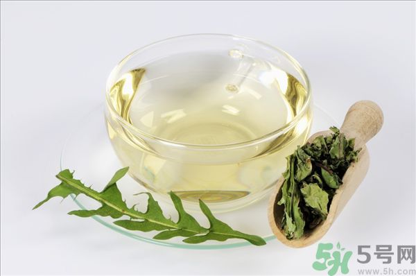 蒲公英根泡茶好還是蒲公英葉泡茶好？蒲公英根和葉哪個效果好？