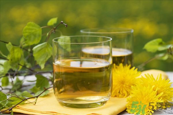 蒲公英泡水喝有副作用嗎？蒲公英泡水喝要注意什么？