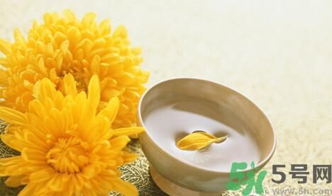 蒲公英可以祛痘嗎？蒲公英怎樣可以祛痘？