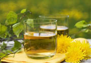 蒲公英泡水喝有副作用嗎？蒲公英泡水喝要注意什么？