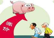 豬肉價(jià)格為什么驚動(dòng)世界？豬肉價(jià)格一直上漲的原因是什么？