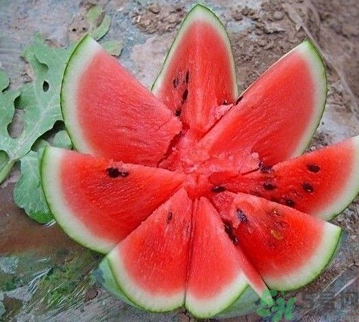 吃西瓜拉肚子怎么辦？吃西瓜會(huì)拉肚子嗎？