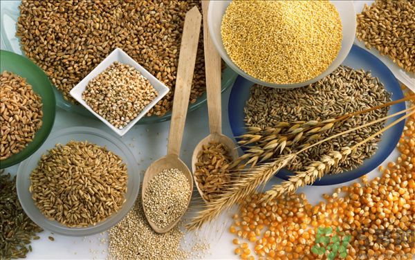 夏天吃蕎麥好嗎？夏天吃蕎麥有什么好處？