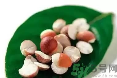 夏天吃芡實(shí)好嗎？夏天吃芡實(shí)有什么好處？