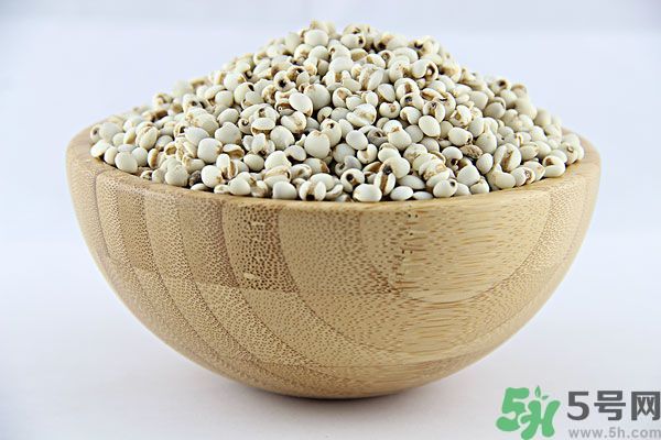 夏天吃薏米好嗎？夏天吃薏米有什么好處？