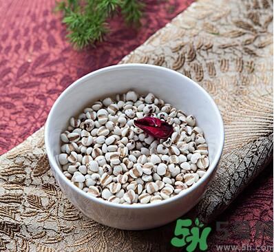 夏天吃薏米好嗎？夏天吃薏米有什么好處？