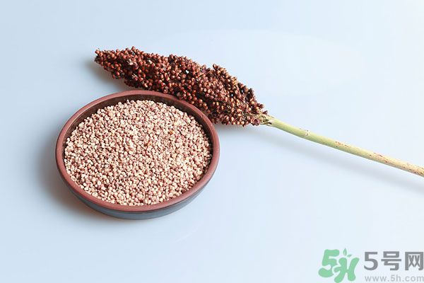 夏天吃高粱好嗎？夏天吃高粱有什么好處？