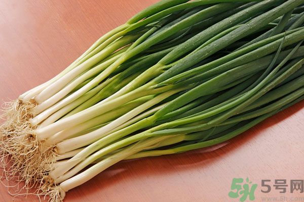 夏天上火能吃蔥嗎？夏天吃蔥會不會上火？