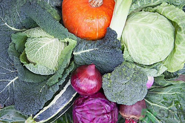 夏天吃什么蔬菜對(duì)身體好？什么蔬菜適合夏天吃？