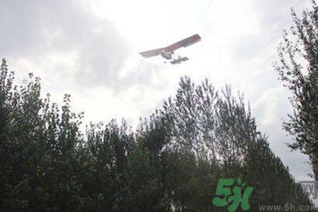 為什么15-25號(hào)不要曬被子？什么是美國(guó)白蛾？