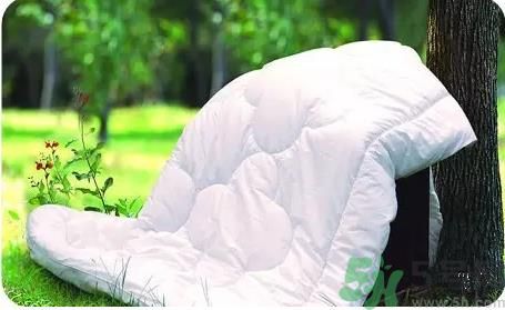 15-25號不要曬被子是怎么回事？白蛾是什么害蟲？