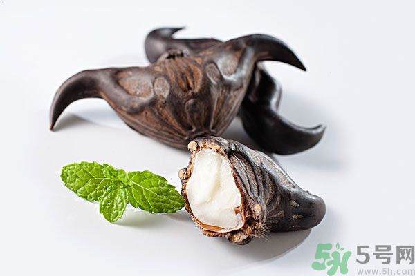 寶寶可以吃菱角嗎？寶寶多大可以吃菱角？