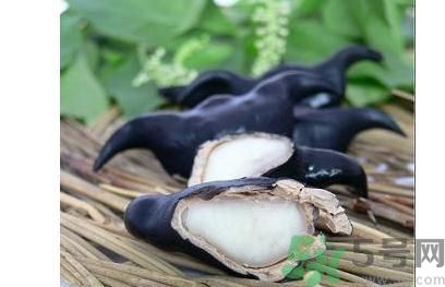 菱角怎么剝完整？菱角剝不開怎么辦？