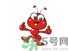 家里有螞蟻怎么辦？驅(qū)除螞蟻的方法是什么？