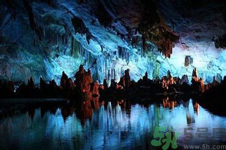 新西蘭的螢火蟲洞在哪里 新西蘭的螢火蟲洞在哪里