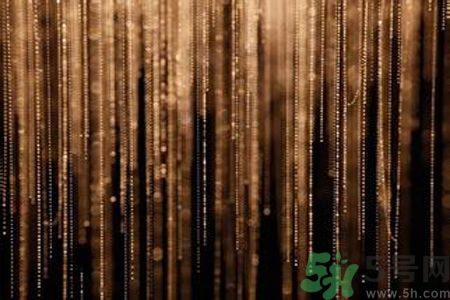 新西蘭的螢火蟲洞在哪里 新西蘭的螢火蟲洞在哪里