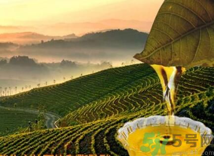 茶籽油可以天天吃嗎？可以每天用茶籽油炒菜嗎？