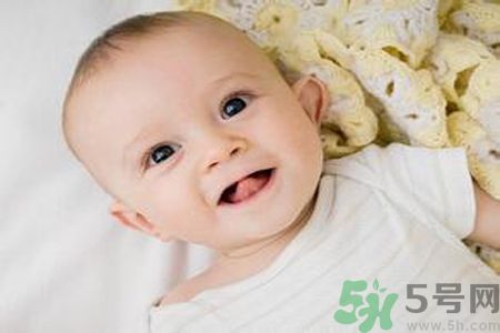 寶寶可以喝米茶嗎？寶寶多大可以喝米茶？