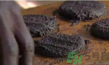 蚊子可以吃嗎？吃蚊子會怎么樣？