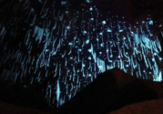 新西蘭的螢火蟲洞在哪里？盤點(diǎn)新西蘭的美食