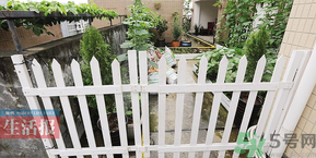 女子打造城市菜園 陽臺可以種什么蔬菜？