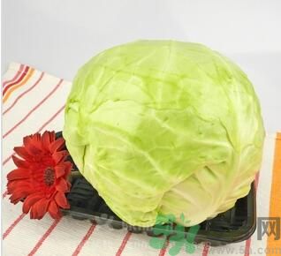 包菜是涼性的嗎？包菜是涼性還是熱性的？