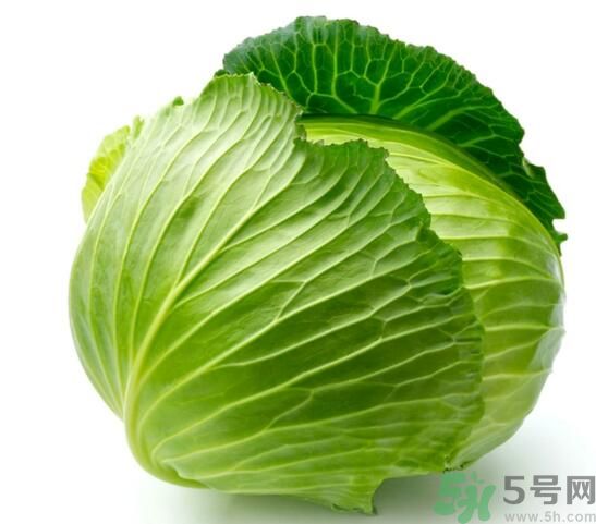 包菜是涼性的嗎？包菜是涼性還是熱性的？