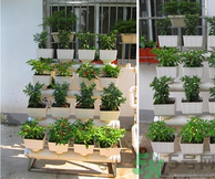 陽臺(tái)怎么種蔬菜？陽臺(tái)適合種什么蔬菜？