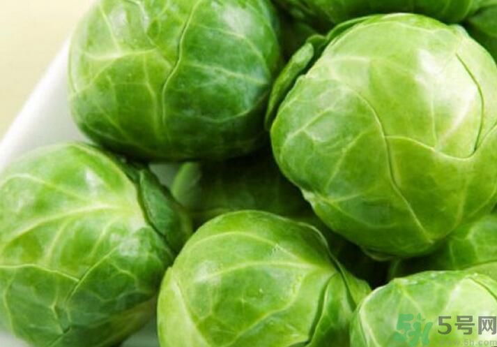 孕婦可以吃包菜嗎？孕婦吃包菜好嗎？