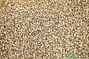 吃辣椒可以去除濕氣嗎？辣椒能去濕氣嗎？