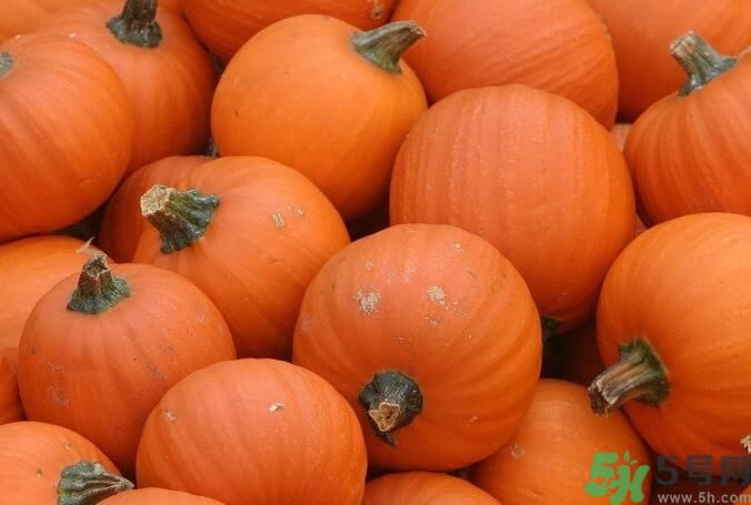 南瓜和羊肉能一起吃嗎？南瓜可以和羊肉一起吃嗎？