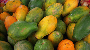 咳嗽能吃木瓜嗎？咳嗽吃木瓜好不好？