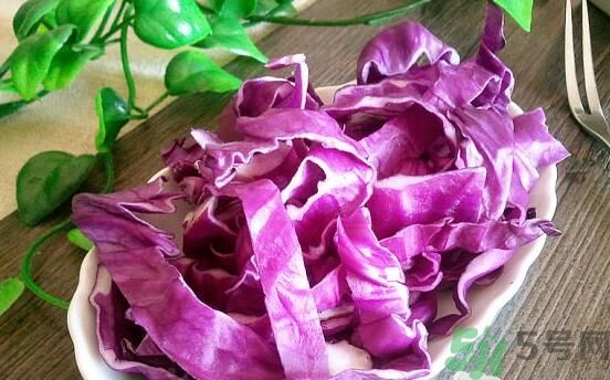 紫甘藍和包菜有什么區(qū)別？紫甘藍是包菜嗎？