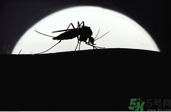 1463539010743166.jpg mf700-00003257.jpg