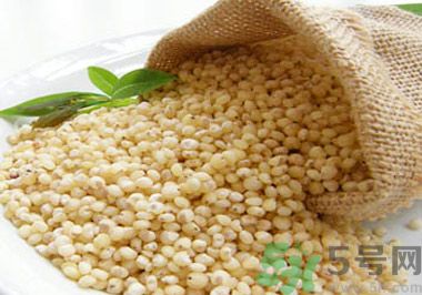 高粱米可以包粽子嗎？高粱米可以用來包粽子嗎？