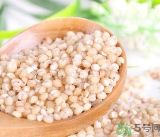 高粱米是發(fā)物嗎？高粱米是不是發(fā)物？