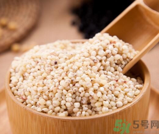 高粱米是發(fā)物嗎？高粱米是不是發(fā)物？