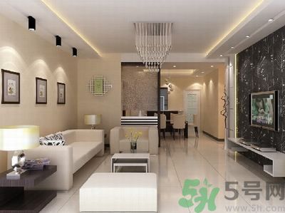 家中有蟑螂要怎么辦？怎么消滅家中的蟑螂？