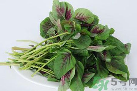 漢菜是熱性還是涼性？漢菜是涼性的嗎？