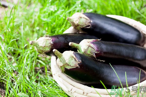 茄子和蝦能一起吃嗎？茄子和蝦可以一起吃嗎？