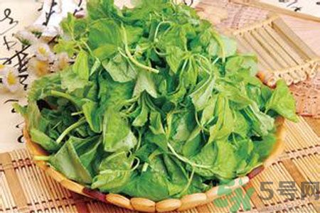 莧菜是發(fā)物嗎？莧菜是不是發(fā)物？