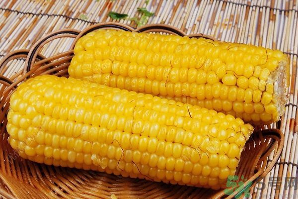 南瓜和玉米可以一起吃嗎？南瓜和玉米一起吃好嗎？