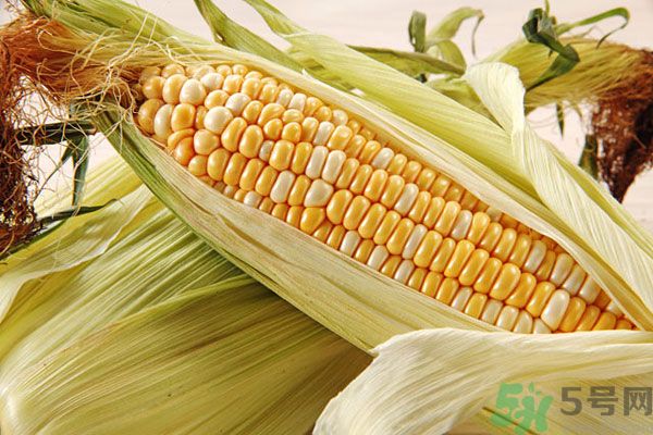 南瓜和玉米可以一起吃嗎？南瓜和玉米一起吃好嗎？