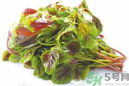 孕婦可以吃漢菜嗎？懷孕可以吃漢菜嗎？